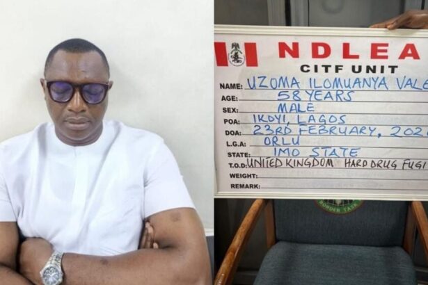 NDLEA Arrests Drug Kingpin Declared Wanted For Over 15 Years