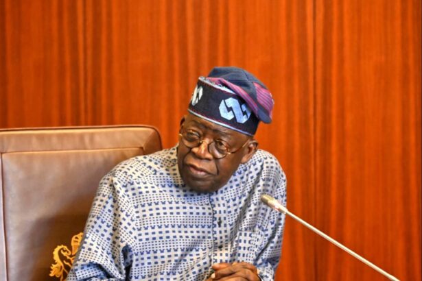 President Tinubu Suspends Cashless Payment System At Federal Airports