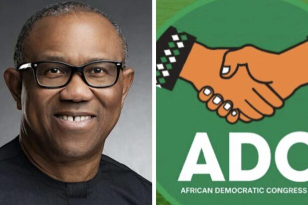 I’m Not Certain ADC Will Give Me 2027 Presidential Ticket – Peter Obi