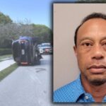 Tiger Woods Released On Bail After Being Arrested For Driving Under Influence