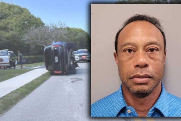Tiger Woods Released On Bail After Being Arrested For Driving Under Influence