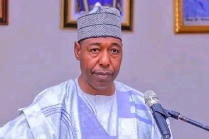 Governor Zulum Sacks All Commissioners, Dissolves Borno Executive Council