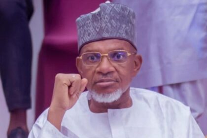 Kebbi Assembly Speaker Mohammed Zuru Dies In Egypt