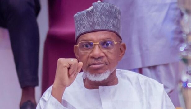 Kebbi Assembly Speaker Mohammed Zuru Dies In Egypt