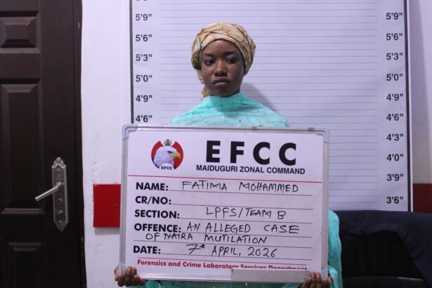 EFCC Arrests Woman For Cleaning Mucus With Naira Notes In Maiduguri