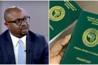 FG Orders Withdrawal Of Passports From Nigerians Who Renounced Citizenship