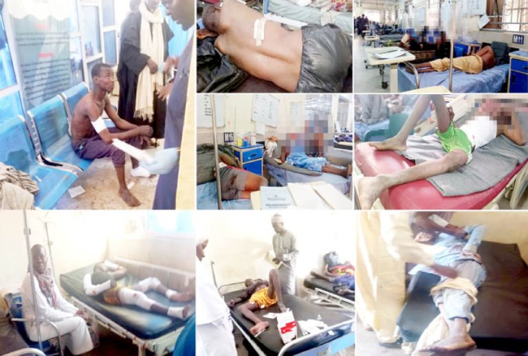 NAF Probes Alleged Civilian Casualties After Air Strike At Jilli Market In Yobe