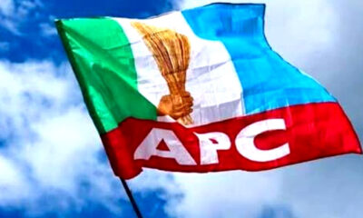 2027 Election: APC Announces Dates For Primaries, Pegs Presidential Form At ₦100m
