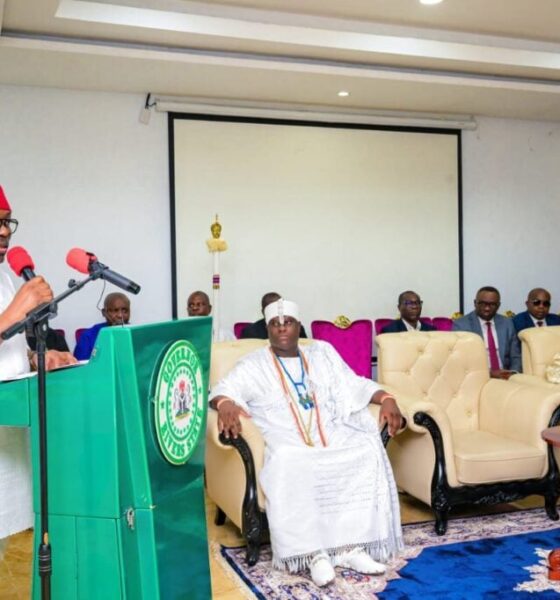 Fubara Endorses Tinubu’s Re-Election, Says ‘Nigeria Is In Capable Hands‘