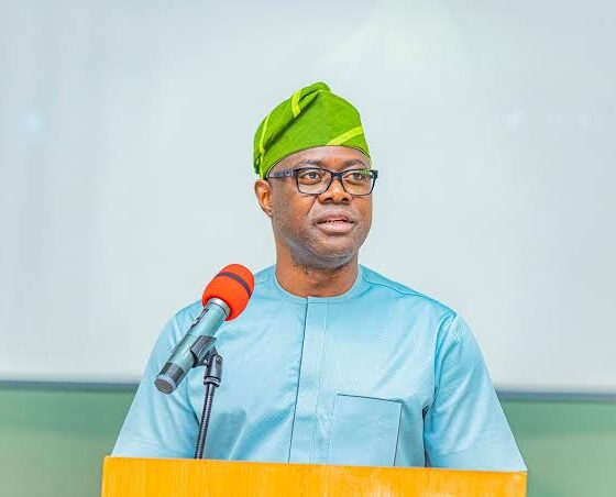 Weak Opposition Will Hurt Nigeria’s Democracy - Seyi Makinde