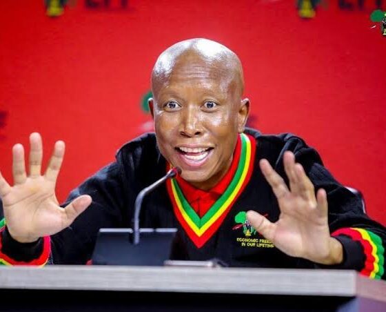 "How Many Jobs Have You Created?’ — Julius Malema Tackle South Africans Over Xenophobic Attacks