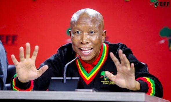 "How Many Jobs Have You Created?’ — Julius Malema Tackle South Africans Over Xenophobic Attacks