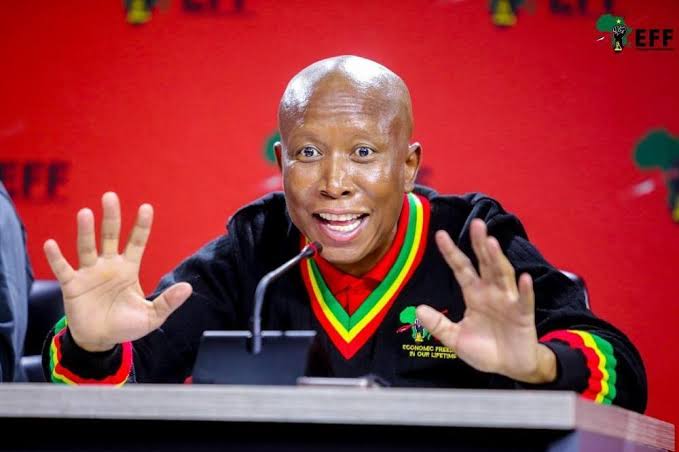"How Many Jobs Have You Created?’ — Julius Malema Tackle South Africans Over Xenophobic Attacks
