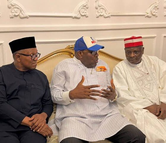 Dickson Welcomes Obi, Kwankwaso To NDC, Says Party Has No Factions And Litigation