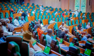 Reps Urge FG To Review Nigeria–South Africa Deals Over Xenophobia