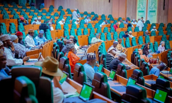 Reps Urge FG To Review Nigeria–South Africa Deals Over Xenophobia