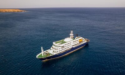 First Hantavirus Case On Cruise Ship Contracted Before Boarding - WHO