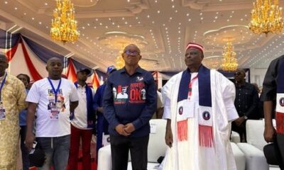 NDC Zones 2027 Presidential Ticket To South For Single Four-Year Term, 2031 To North