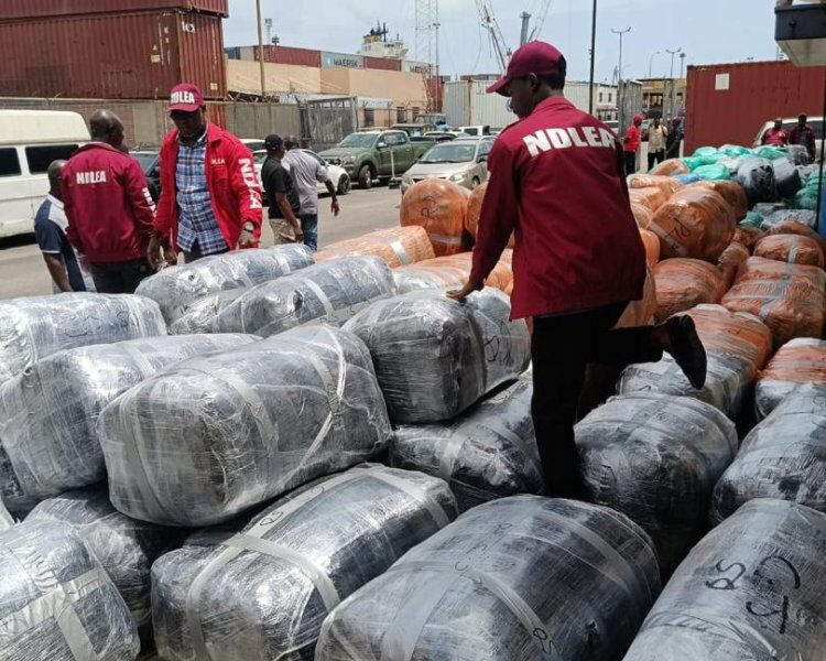 NDLEA Intercepts ₦10.4bn Worth Of Canadian Loud At Lagos Port
