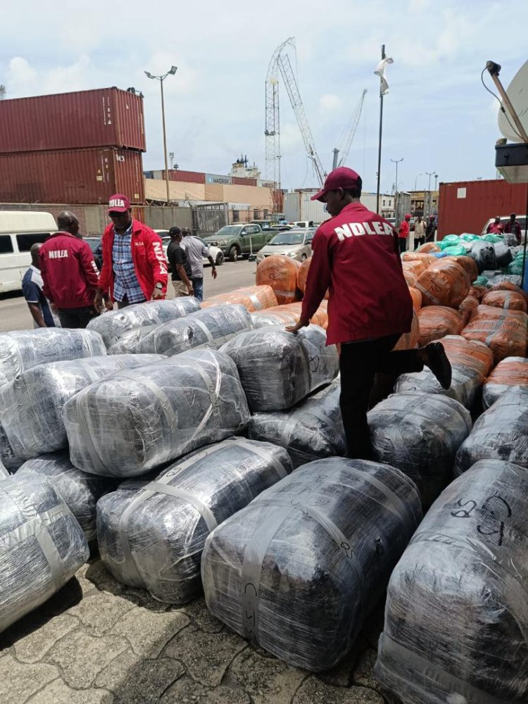 NDLEA Intercepts ₦10.4bn Worth Of Canadian Loud At Lagos Port