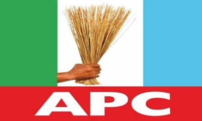 Ben Murray-Bruce, 46 Others Disqualified From APC Senatorial Race
