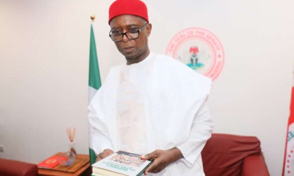 APC Deceived Me And Rigged Election For Okowa:, I'm Sure Tinubu Will Intervene - Ned Nwoko