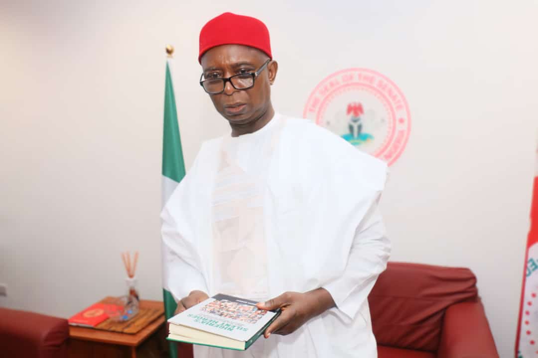 APC Deceived Me And Rigged Election For Okowa, I'm Sure Tinubu Will Intervene - Ned Nwoko 3 APC Deceived Me And Rigged Election For Okowa:, I'm Sure Tinubu Will Intervene - Ned Nwoko