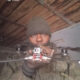 Ukraine Identifies Another Nigerian Olabode Victor Killed Fighting For Russia