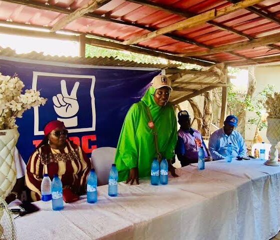 Aisha Yesufu Accusing NDC Of Breaching Electoral Act In FCT Senate Primaries