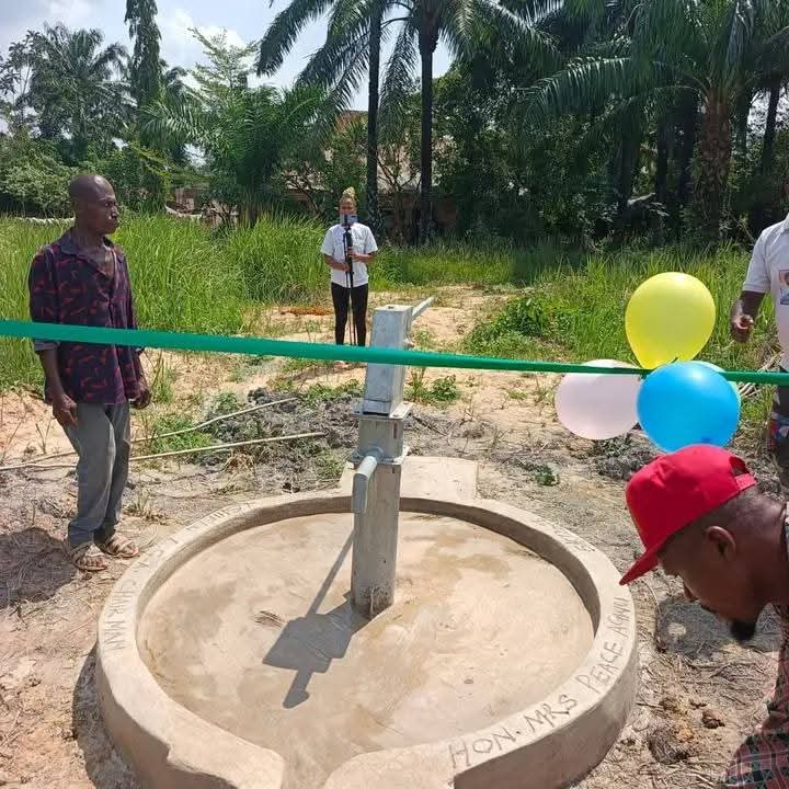 Ebonyi Chairman Dragged Over Borehole Project She Commissioned In Her Constituency