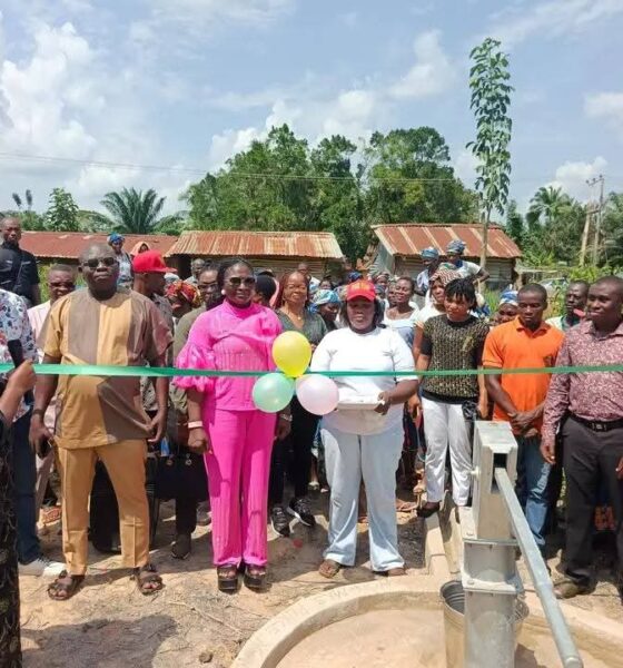 Ebonyi Chairman Dragged Over Borehole Project She Commissioned In Her Constituency
