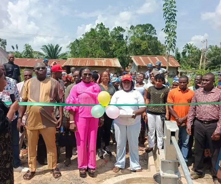 Ebonyi Chairman Dragged Over Borehole Project She Commissioned In Her Constituency