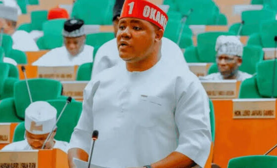 Despite Video Evidence, Agbese Insists He Didn't Endorse Ugochinyere As Reps Minority Leader