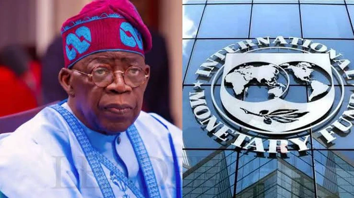 IMF Warns Nigeria Against Tinubu's Plans To Borrow $5bn From Abu Dhabi