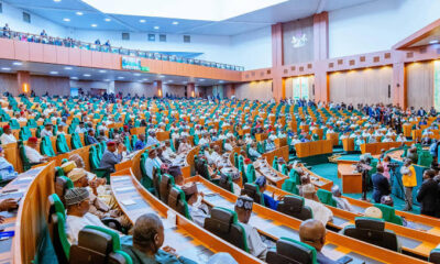 House Of Reps Passes Bill To Establish State Police
