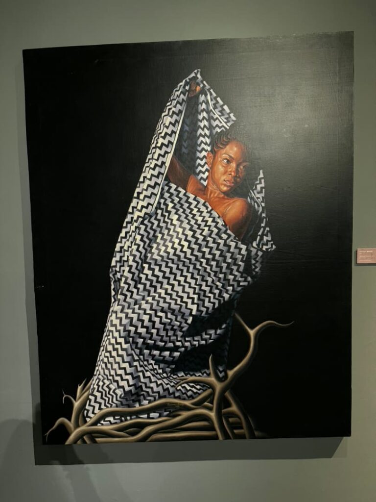 Journalists Hold Key to Nigeria's Cultural Memory, Says Yemisi Shyllon Museum Director 56 Yemisi Shyllon Museum of Art photos