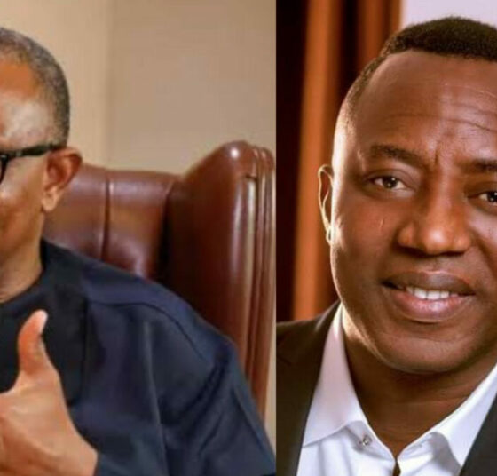 Sowore Being Sent To Prison Is Dangerous Regression For Democracy - Peter Obi