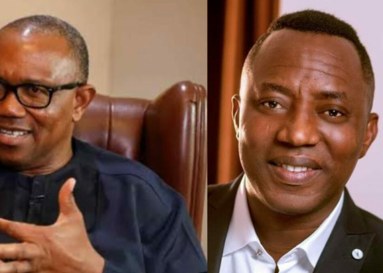 Sowore Being Sent To Prison Is Dangerous Regression For Democracy - Peter Obi