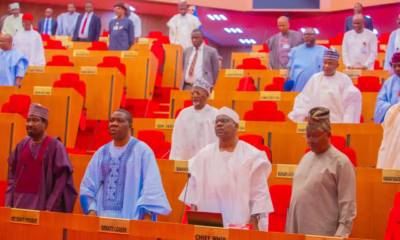 Nigerian Senate Passes Bill Seeking To Establish State Police