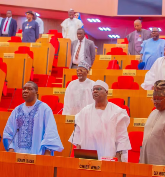 Nigerian Senate Passes Bill Seeking To Establish State Police