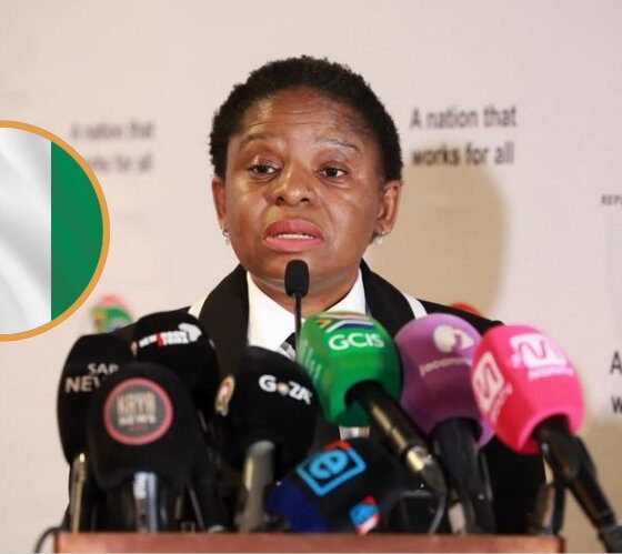 "Show Us Nigerians' Drug Dens" - South Africa Rejects Compensation Demand Over Xenophobic Attacks