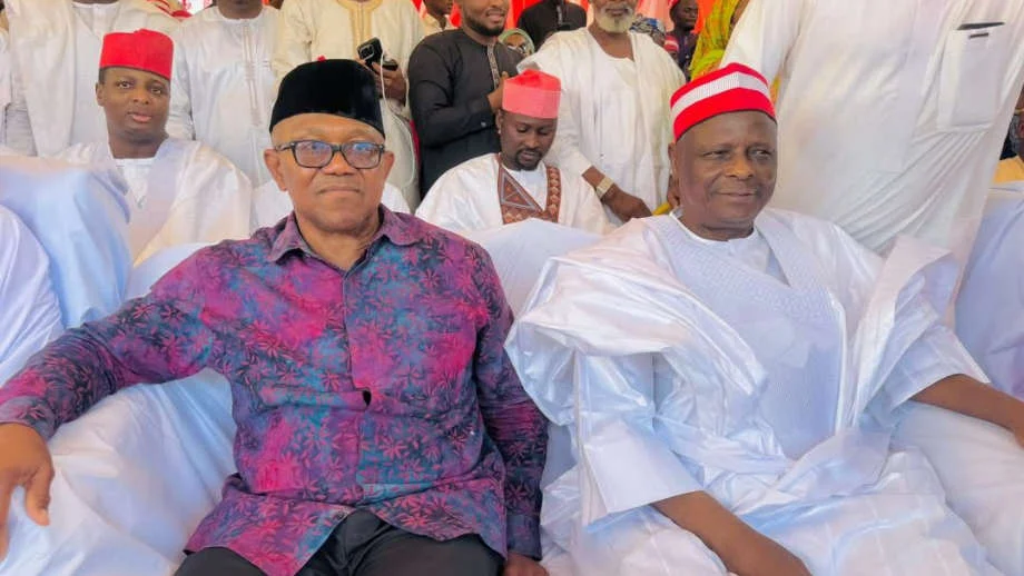 Peter Obi And Kwankwaso Campaign Teams Face Leadership Crisis
