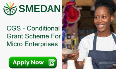 How Nigerian Business Owners Can Apply For N50,000 SMEDAN Grant