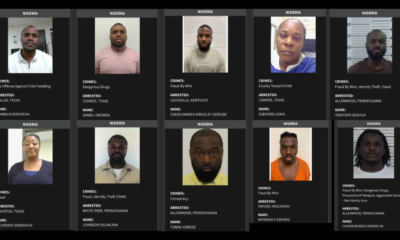 US Releases New List Of 10 Nigerians Facing Deportation Over Criminal Offences