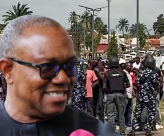 Police Arrest Suspects After Peter Obi’s Convoy Was Blocked In Benue