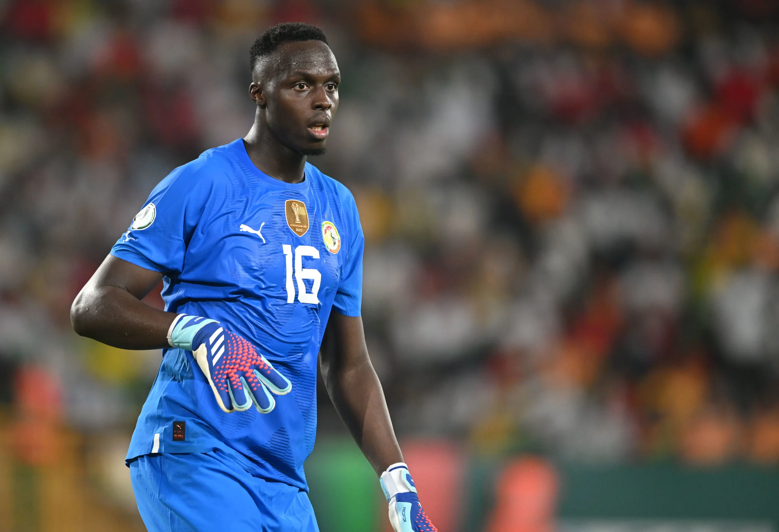 Édouard Mendy Retires From International Football At 34 3 Édouard Mendy Retires From International Football At 34