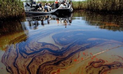 Niger Delta: Group Urges Probe of Multinationals Over Host Communities 1