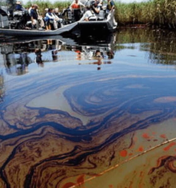 Niger Delta: Group Urges Probe of Multinationals Over Host Communities 19