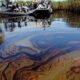 Niger Delta: Group Urges Probe of Multinationals Over Host Communities 2