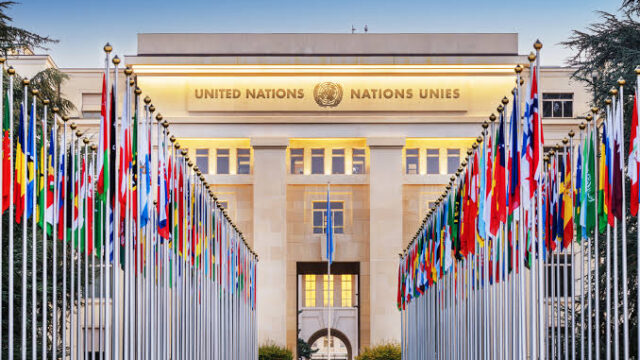 United Nations (UN)